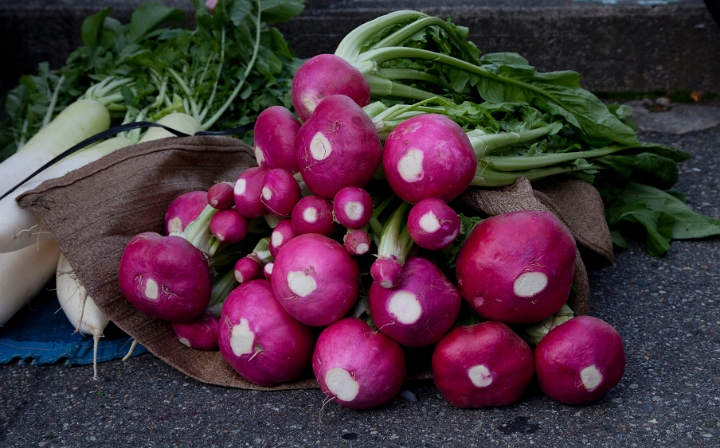 Morning Market-Radishes 11-0320.jpg